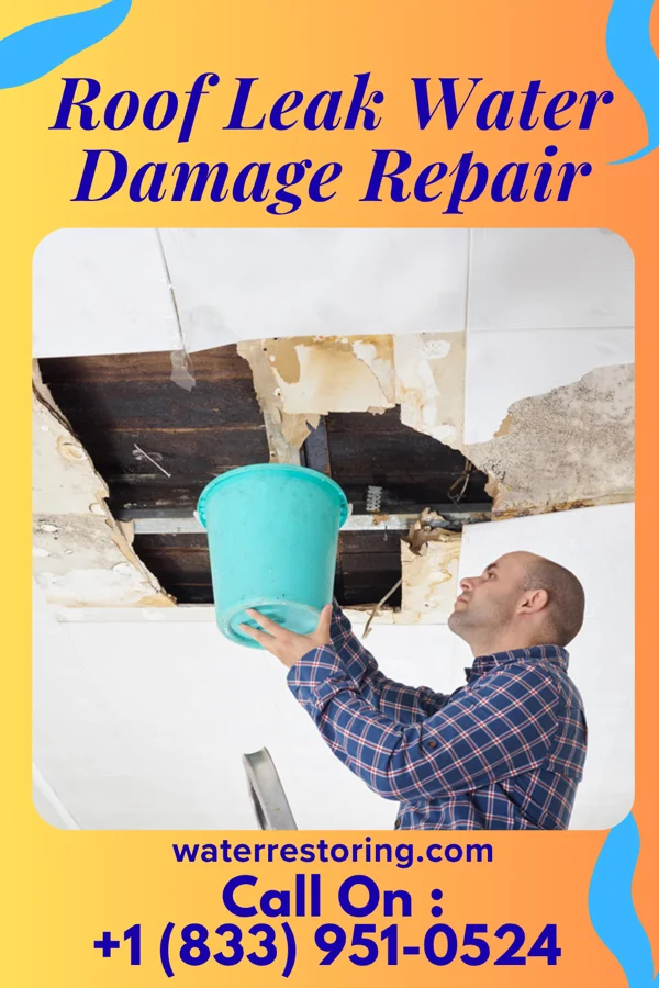 Roof Leak Water Damage Repair in Woodland, MN
