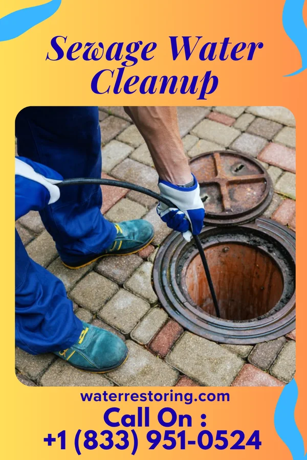 Sewage Water Cleanup in Woodland, MN