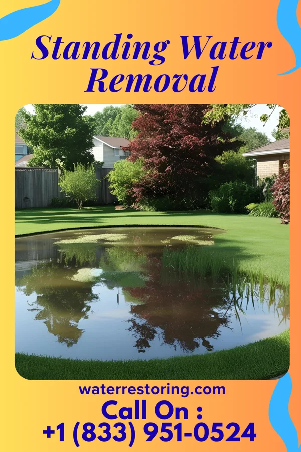 Standing Water Removal in Woodland, MN